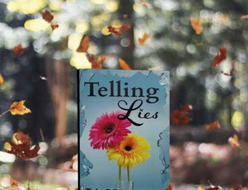 Telling Lies Book Tour | Day 13