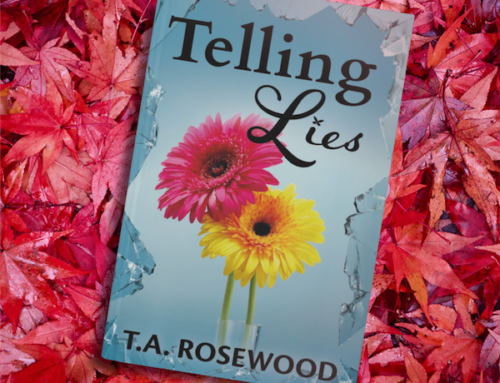 Telling Lies | Hardcover Edition