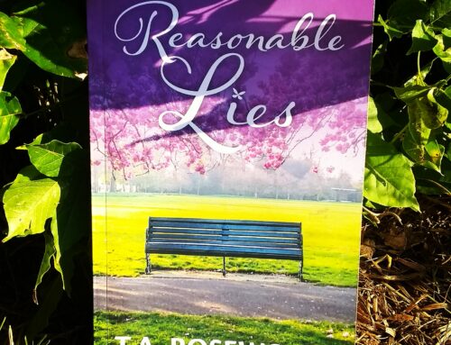 Reasonable Lies  Book Review from USA Author
